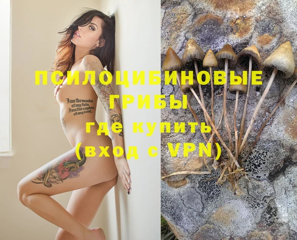 гидропоника Нея