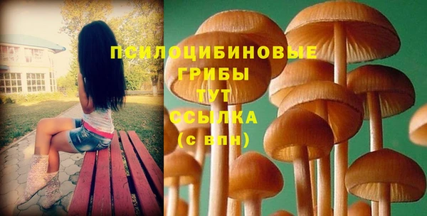 гашик Навашино