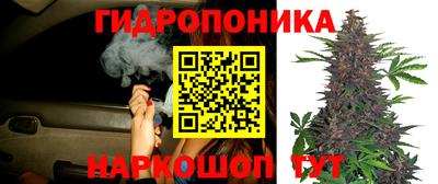 сатива Изобильный