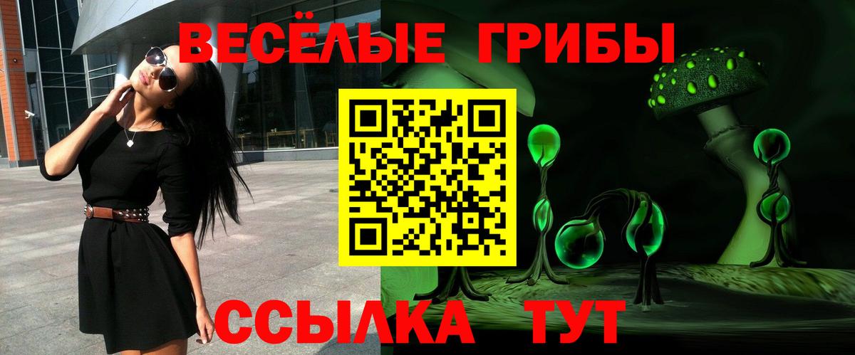 Галлюциногенные грибы мухоморы  Галлюциногенные грибы MAGIC MUSHROOMS  Вход с VPN  Прохладный 